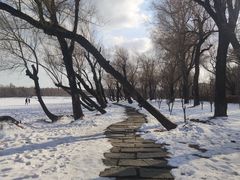 -长春市南湖公园