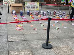 -晓港公园
