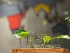 -ZING COFFEE 镜咖啡