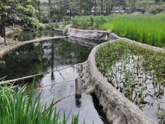 -成都市活水公园