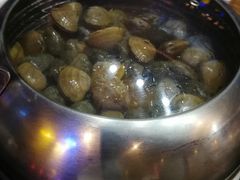 黄蚬子-海味当家·蒸锅海鲜(星海公园店)