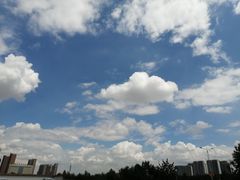 -老村长大锅炖羊肉(榆林大道店)