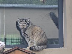 -青藏高原野生动物园