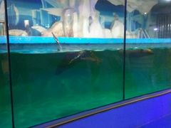 -台州海洋世界