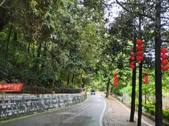 -广州市流溪河国家森林公园