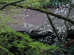 -中国茶叶博物馆(双峰馆区)