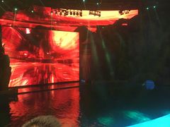 -芜湖新华联大白鲸海洋公园