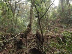 -飞霞风景名胜区