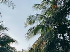 -白沙门生态公园
