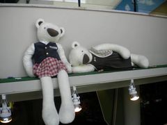 -济州岛泰迪熊博物馆