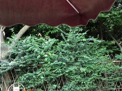 -回水镇·江湖川菜(恒大新城店)