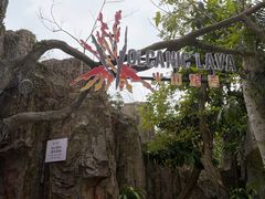 -海口观澜湖火山温泉谷