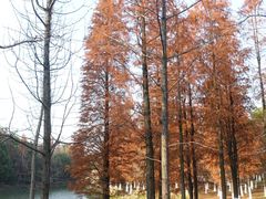 -艾溪湖湿地公园