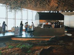 -Seesaw Coffee(朝阳大悦城店)