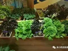 -来小酌·长安酒家(翠庭大厦店)