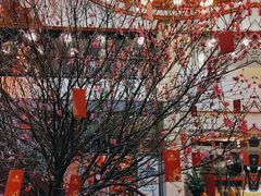 -南海迎宾馆·经典南海菜