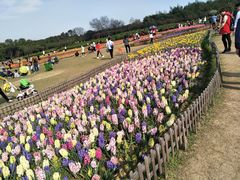 -芜湖新华联大白鲸海洋公园