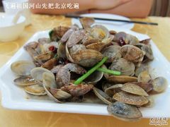 辣炒蛤蜊-海岛渔村大酒店(云霄路店)
