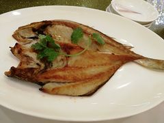 -黄埔华苑酒家(黄埔店)