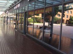 -星巴克(陆家嘴软件园店)
