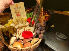 -鹏欣水游城