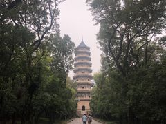 -灵谷景区