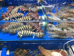 -济南海鲜大市场