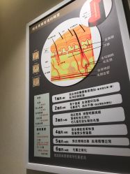 点击看大图 -巴黎拉斐派瑞美发沙龙