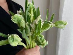 -花邻FloweringLife花艺气球派对(武康大楼店)