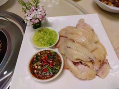 -墨脱石锅椰子鸡•香草鸭•东山羊(大东海店)