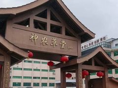 -广州神农草堂中医药博物馆