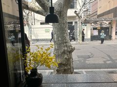 -Apollo·西班牙小酒馆(安福路店)