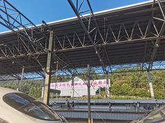 -望湖楼餐厅(白廊码头店)