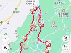 -铁山坪森林公园