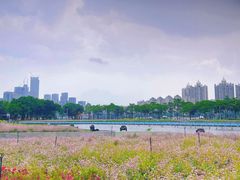 -海心沙亚运公园