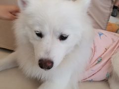 -怪兽屋·羊驼·猫咖·狗咖(俊华广场店)