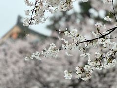 -鸡鸣寺