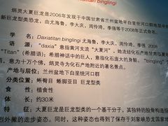 -安徽省地质博物馆
