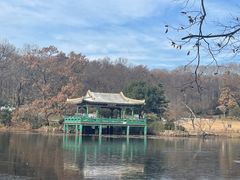 -灵谷景区