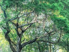 -广东外语外贸大学(白云山校区)