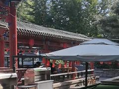 -尚庄度假村·庭台树下·户外烧烤·团建CS·轰趴营地(上庄水库店)