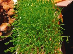-捞神汤物料理(正大广场店)
