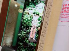 -厦门日月谷温泉渡假村