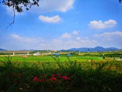-光明小镇欢乐田园