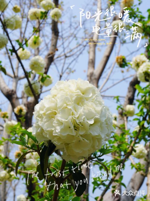 琴亭湖公园图片
