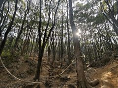 -灵岩山风景区