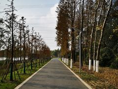 -昆山城市生态森林公园