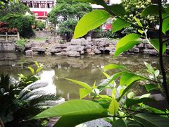 山色西餐厅-山色柴火烤披萨·原切牛扒