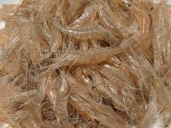 -赶海部落海鲜城(海阳路店)