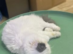 -拜鲁耶动物诊疗中心·宠家动物医院